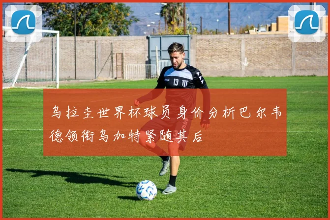 乌拉圭世界杯球员身价分析巴尔韦德领衔乌加特紧随其后